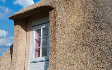 Aith thatch roof disadvantages